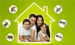 Is it safe to conduct pest control treatment in the presence of a baby at home?
