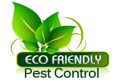 Eco-friendly Pest Control Services in Trivandrum