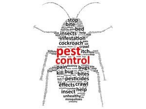 No.1 Pest Control Services in Trivandrum Kerala