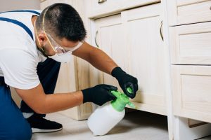 What Safety Precautions to Take While Doing Pest Control