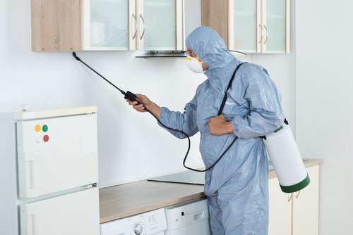 Hire A Home Cleaning Company to Improve Hygiene & Aesthetic Feel of Your House