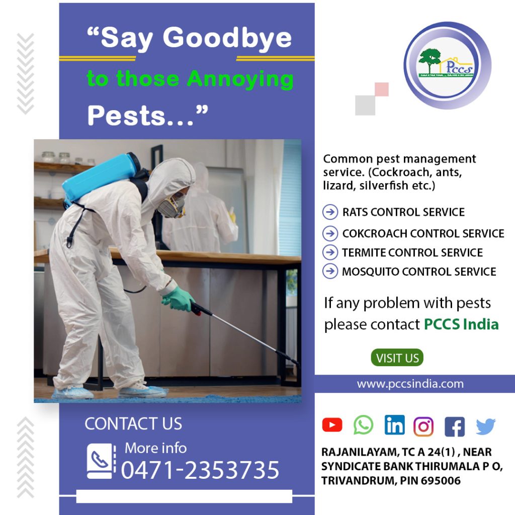 Do Bed Bugs Hibernate?