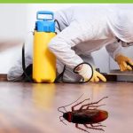 cockroaches-pest-control-services-500x500-1.jpg