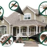 house-hold-pest-control-service-500x500-1.jpg
