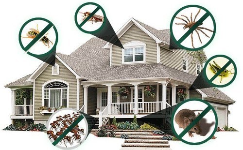 house-hold-pest-control-service-500x500-1.jpg
