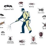 how-it-work-pest-control-image.jpg