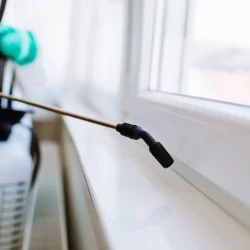 shutterstock_706781029